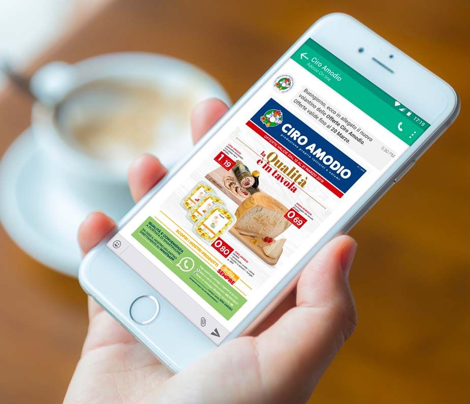 Ciro Amodio whatsapp